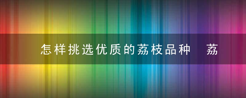 怎样挑选优质的荔枝品种 荔枝如何挑选